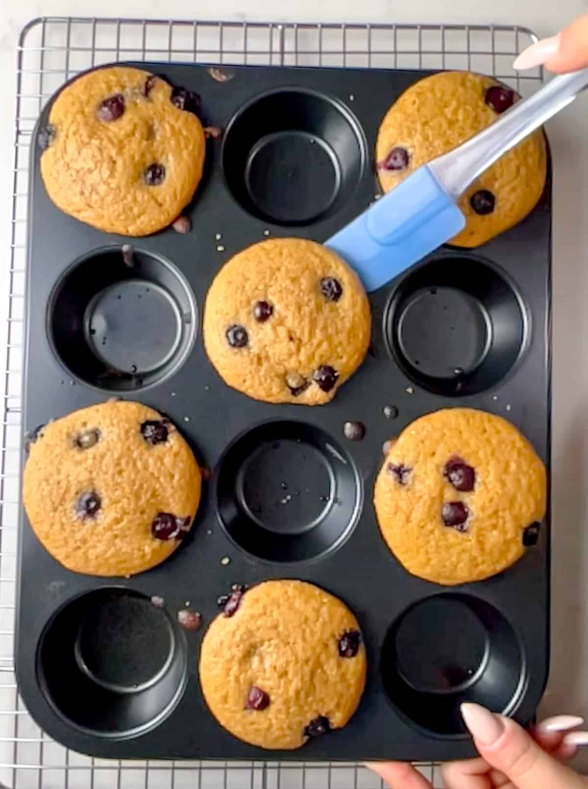 muffins in a muffin tin with a silicone spatula being used to remove a muffin from the pan.